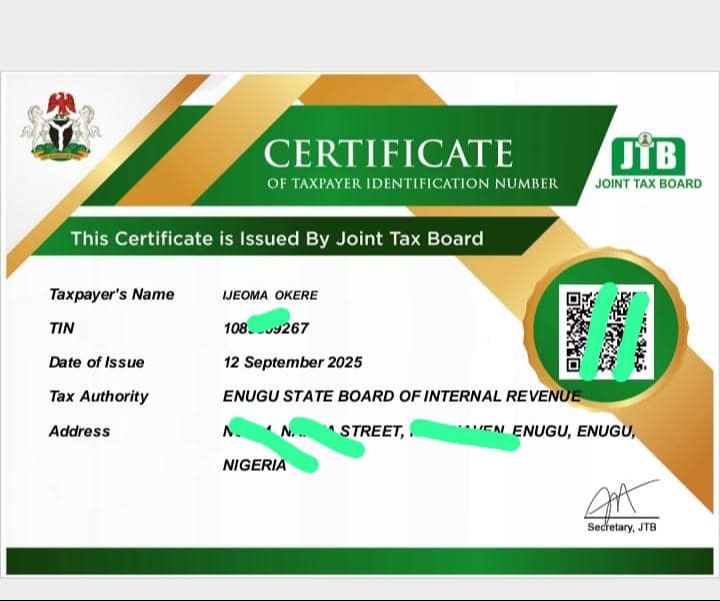 POS services, CAC services and other related services, international passport application and renewal, NIN services, BVN slip reprint and other related digital services  - Buy on Payuee e-Shop